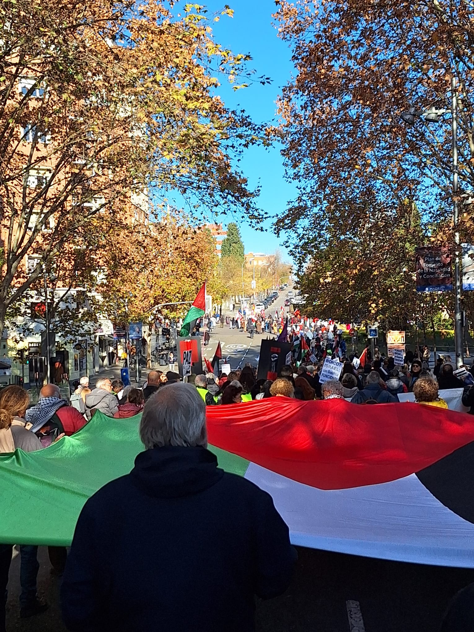 WhatsApp Image 2024-12-15 at 21.55.53(1).jpeg