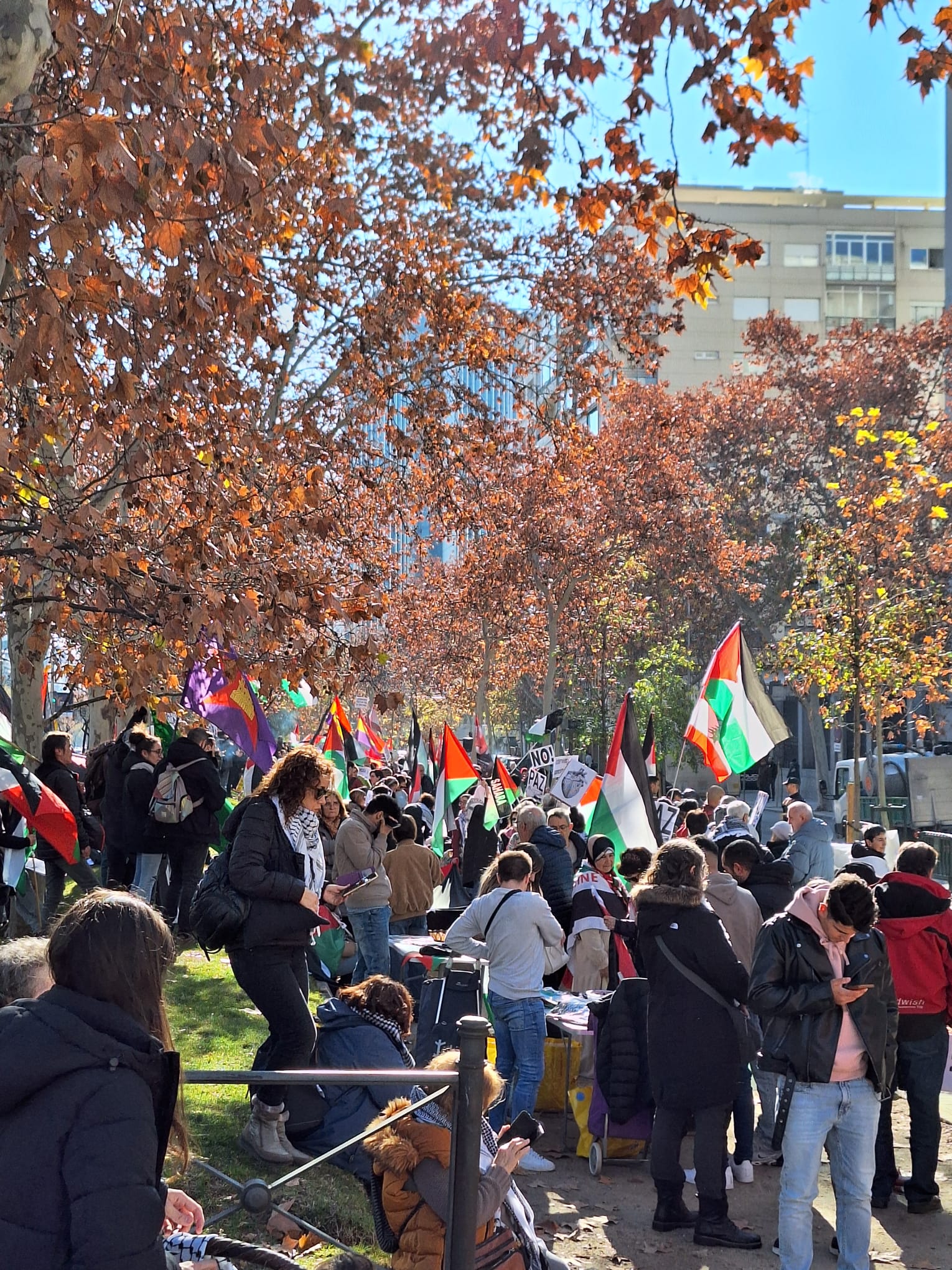 WhatsApp Image 2024-12-15 at 21.55.53.jpeg