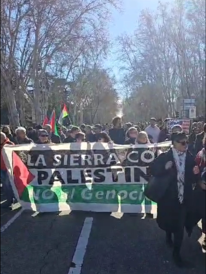 manifestacion_madrid_screenshot.jpg